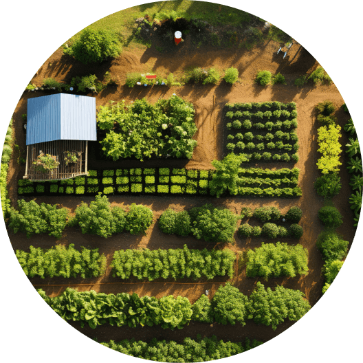 Farm Fresh Operations